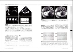 NEW LLL PUBLISHER 【世界動物病院協会】