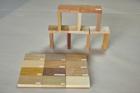 木の見本・樹種サンプル