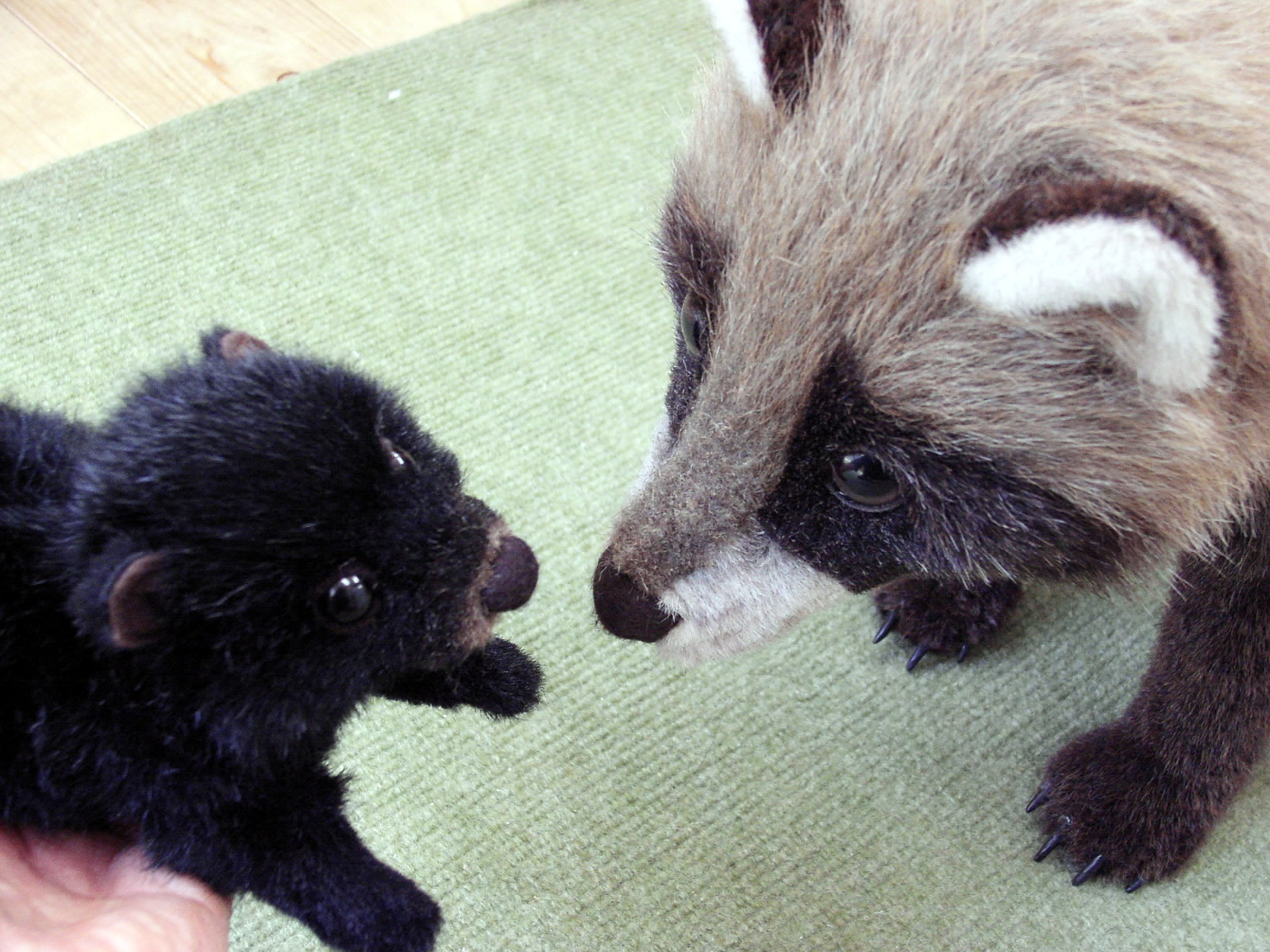 ムササビ・たぬきの親子