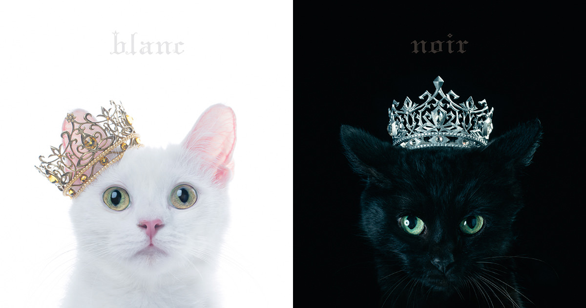 Aimer BEST SELECTION “blanc” | BEST SELECTION “noir”