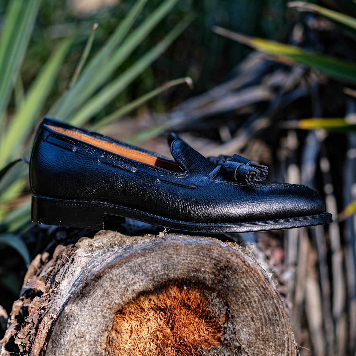 Edited-6656_1200x1200.jpg?v=