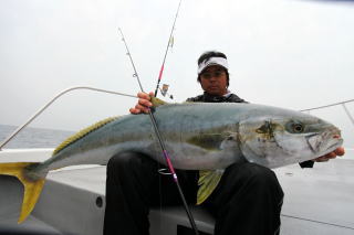 ジギングロッド ブリ ヒラマサ