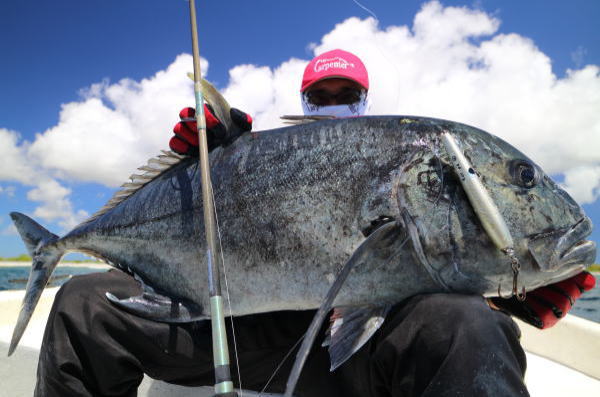 カーペンター BLC84／20 R－PM SC ブルーチェイサー