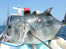 コーラル バイパー CV GTロッド