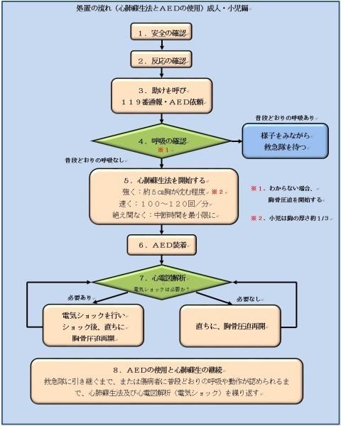 救命処置の流れ成人・小児編／橋本市