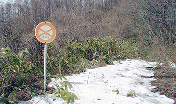 裏サンドウ喫茶室ホーム