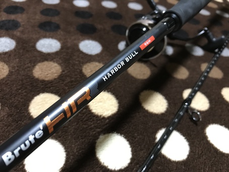 アピアスタッフブログ】 初夏ロック開幕 報告いろいろ 中嶋康文