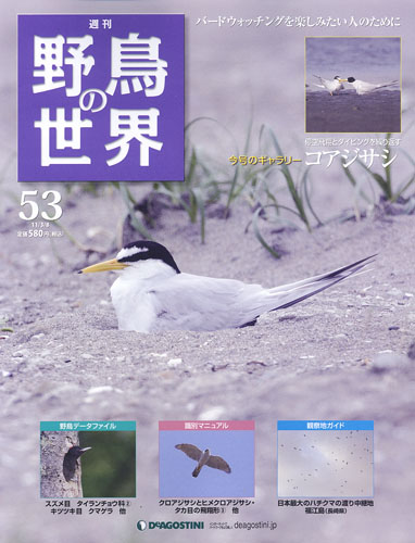 週刊野鳥の世界 全100号 – 知識の泉