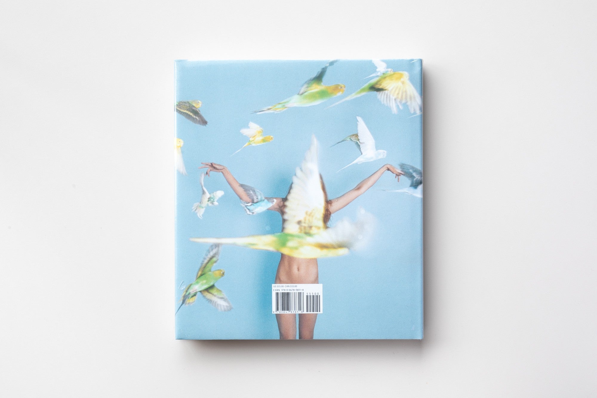 Whistle for the Wind by Ryan McGinley – IACK