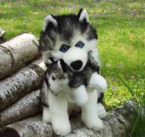 イガルーク -狼・北方犬種グッズショップ- シベリアン ハスキーグッズ