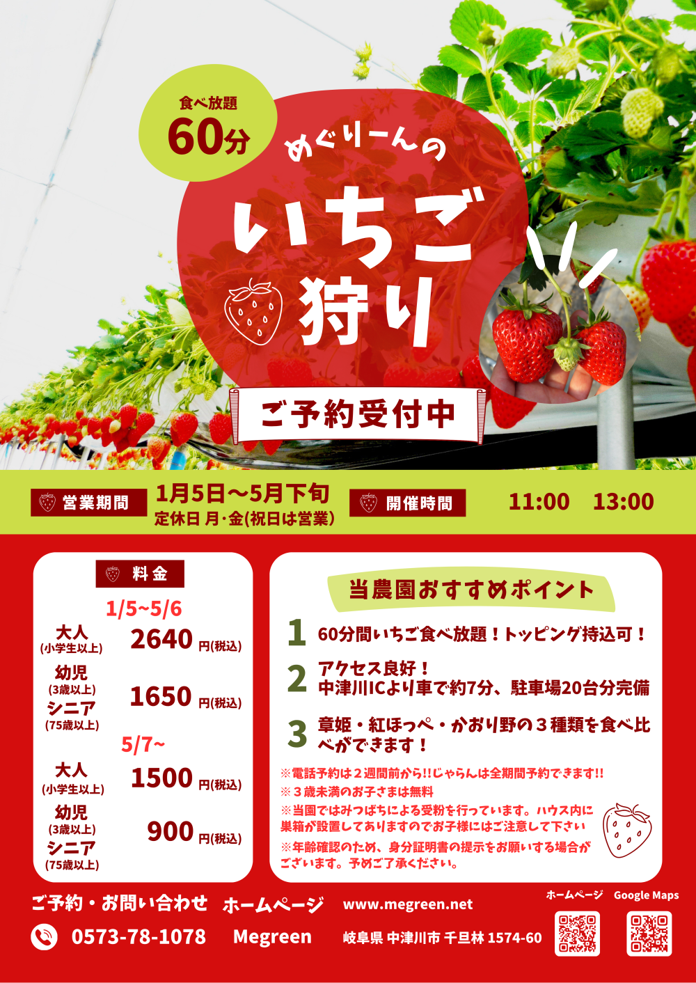 めぐりーん いちご狩り いちご苗の販売 水耕根付レタスや野菜の産地