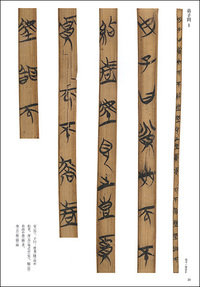 簡牘名蹟選 9：上海博物館篇 戦国 - 株式会社二玄社