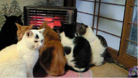 おすすめ展示 菊地和広 水彩画展 （ 銀座 あかね画廊 ） ｜ 【福井欧夏