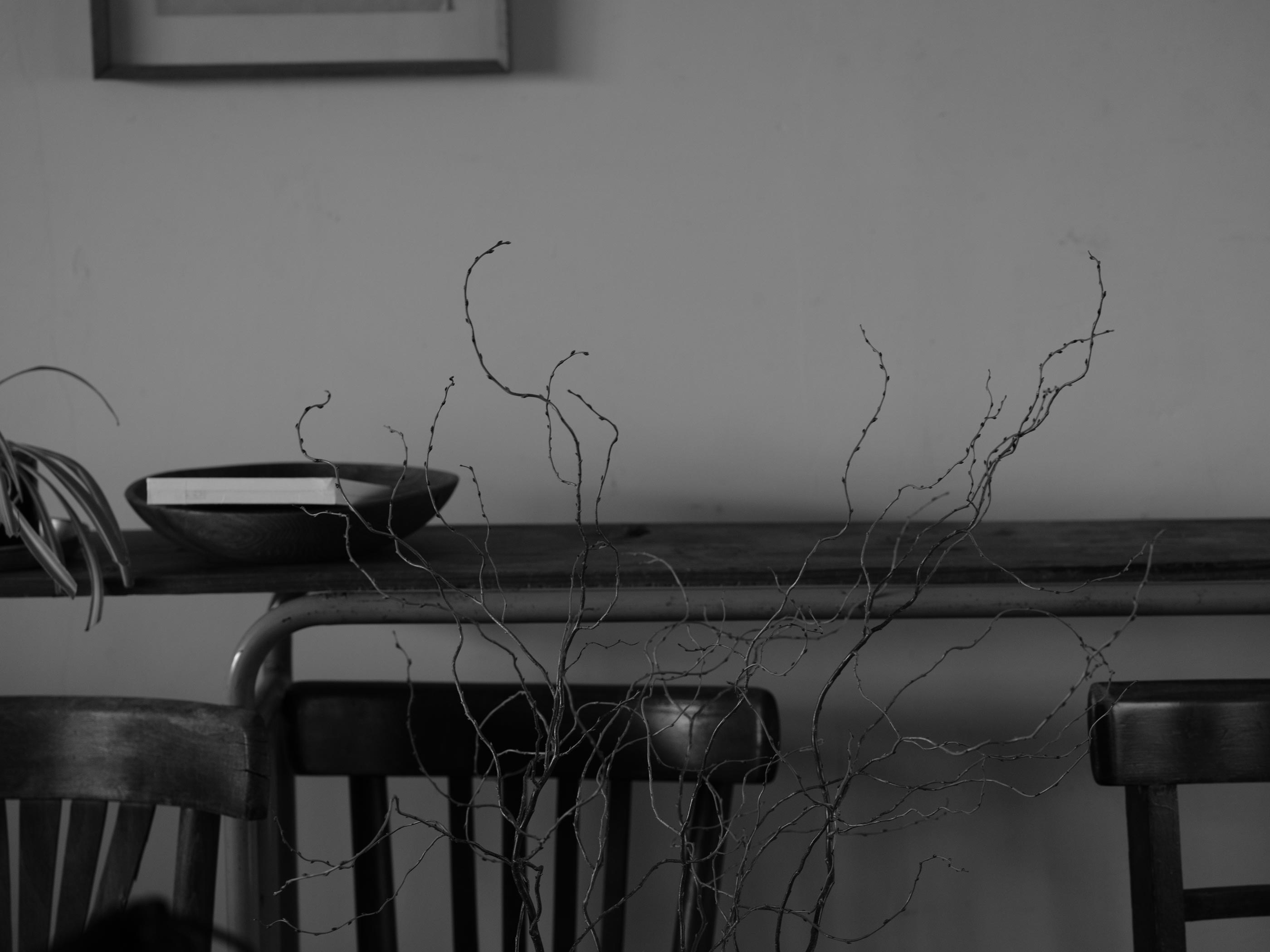 楕円の夢 | Discography | 寺尾紗穂