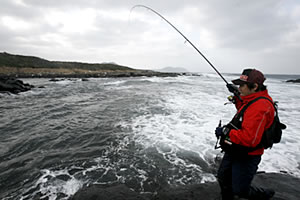 APIA SPARTAS '08風神号 バッカニア120M