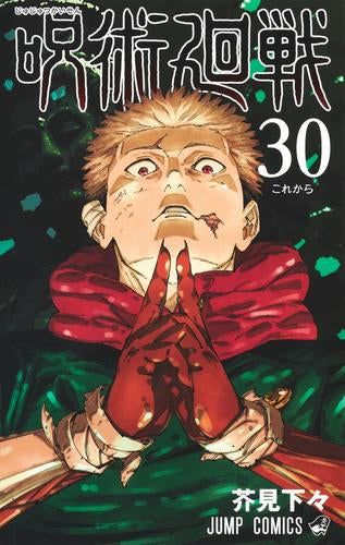 呪術廻戦 (0-30巻 最新刊) – world-manga10