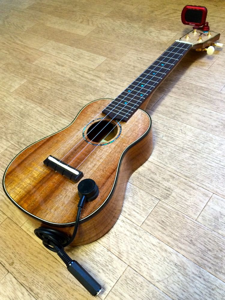 アコースティック楽器用ピックアップマイクMSP（マグネット