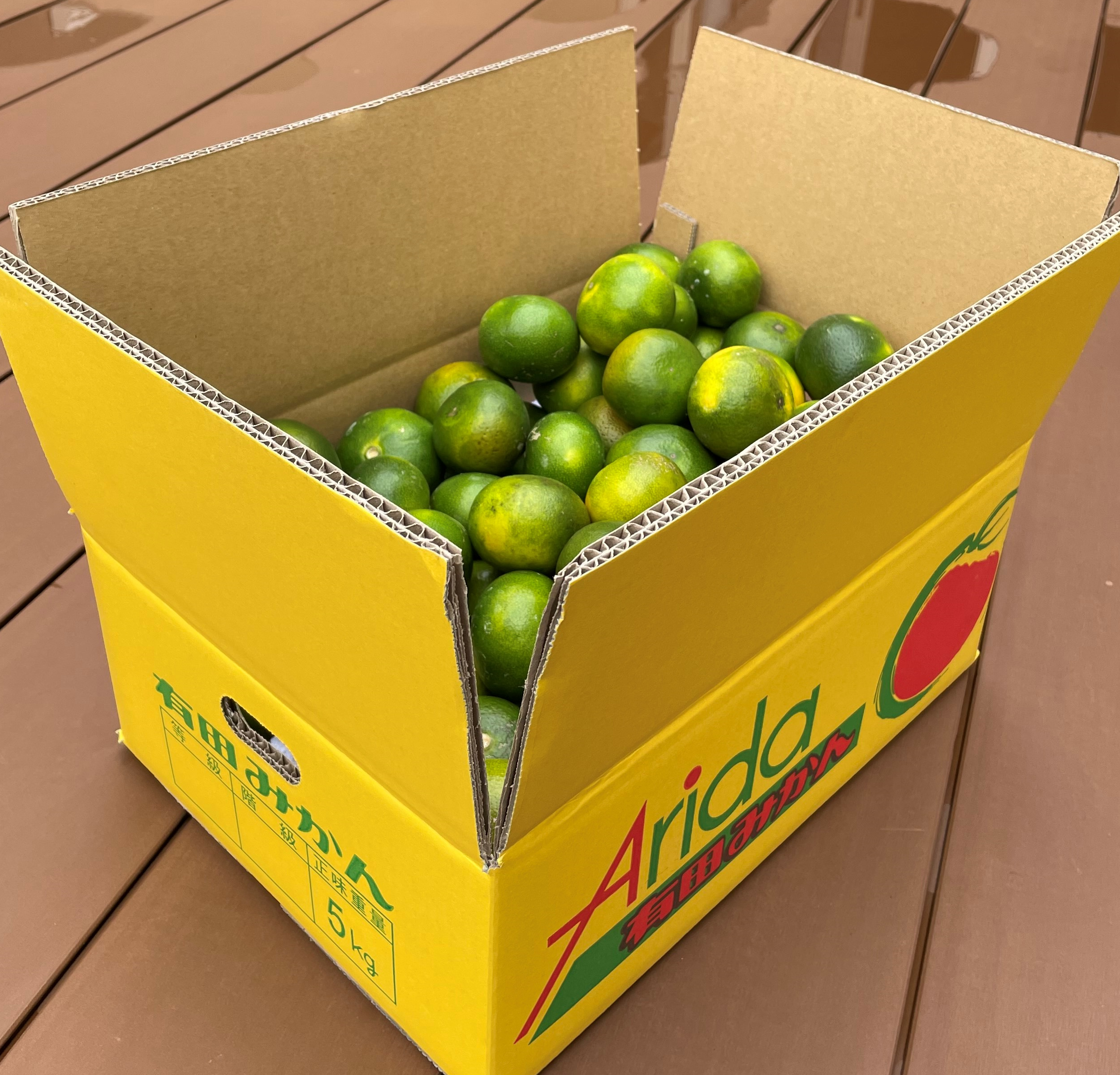 和歌山限定最新品種みかん「YN26」3kg～ | 5STAR MARCHE