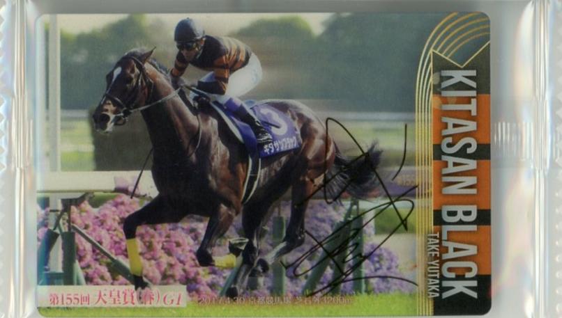 ミントモール / MINT 千葉店 / サラブレッドホースコレクション ツイン