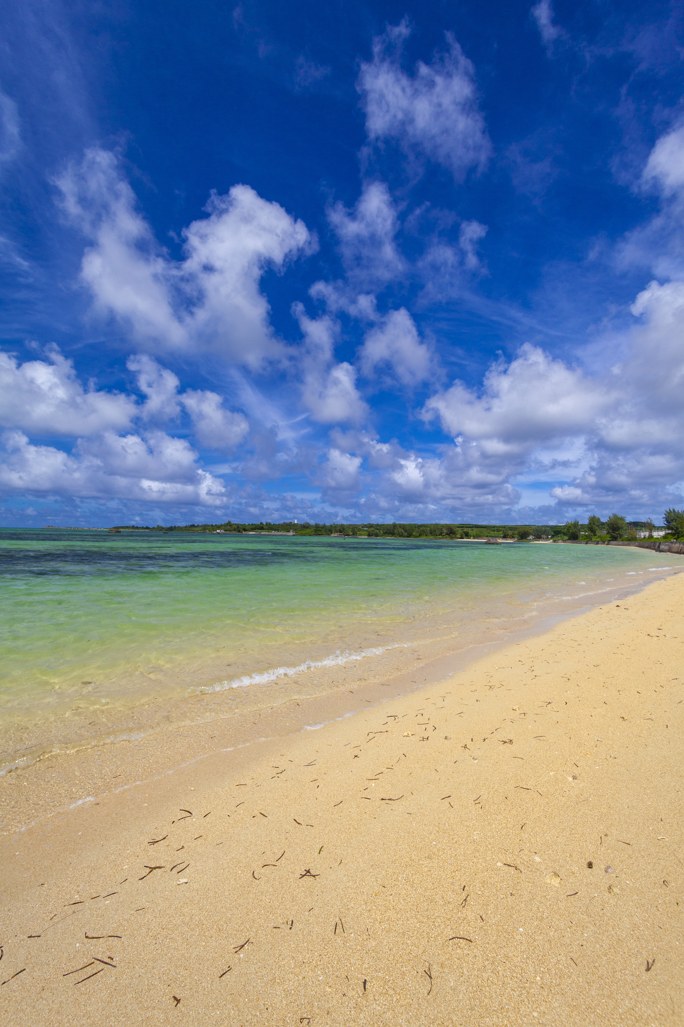 佐和田の浜・砂浜（縦）：No.3288 | 沖縄のフリー写真素材サイト「ばん
