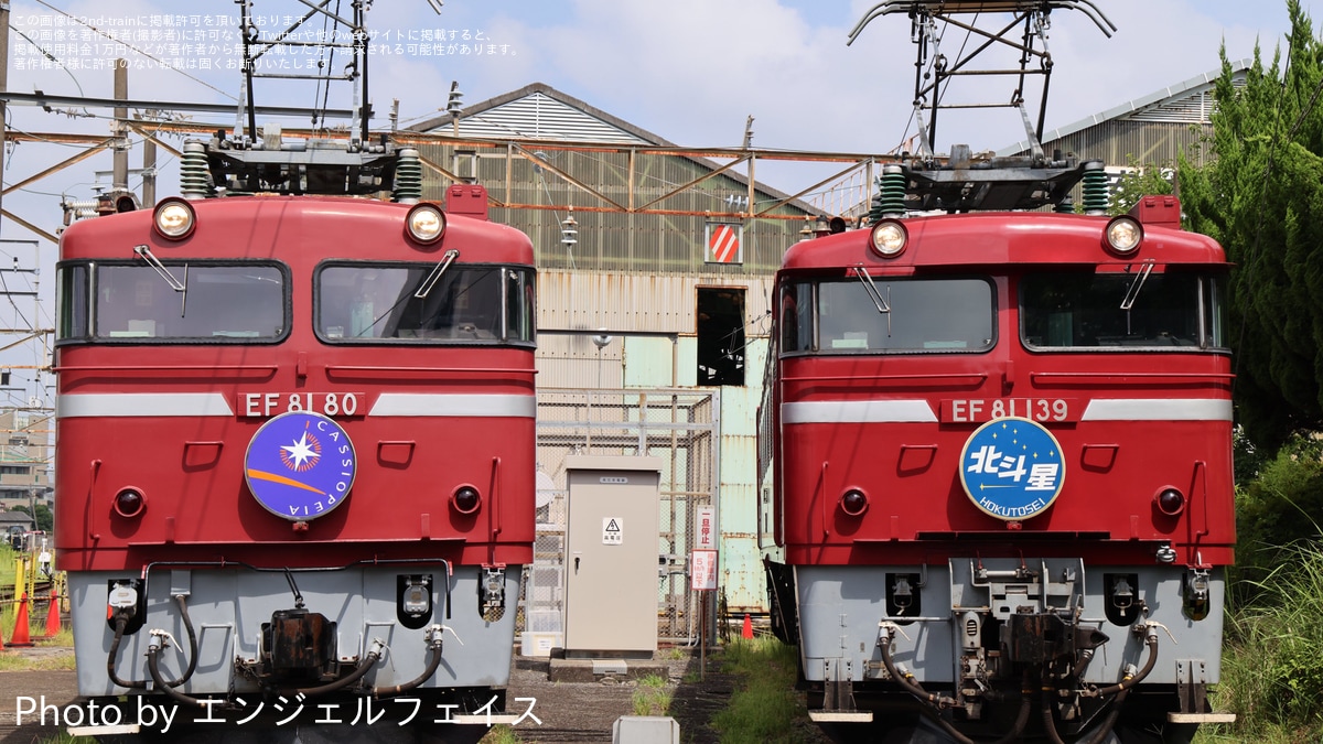 タカラ MICRO GAUGE EF-81 電気機関車 タカラ MICRO GAUGE EF-81 電気