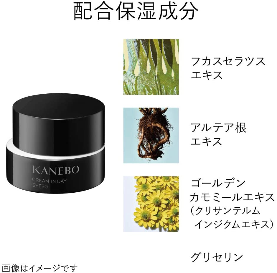 KANEBO Cream In Day SPF 20 / PA +++ Protective Day Cream, 40 g