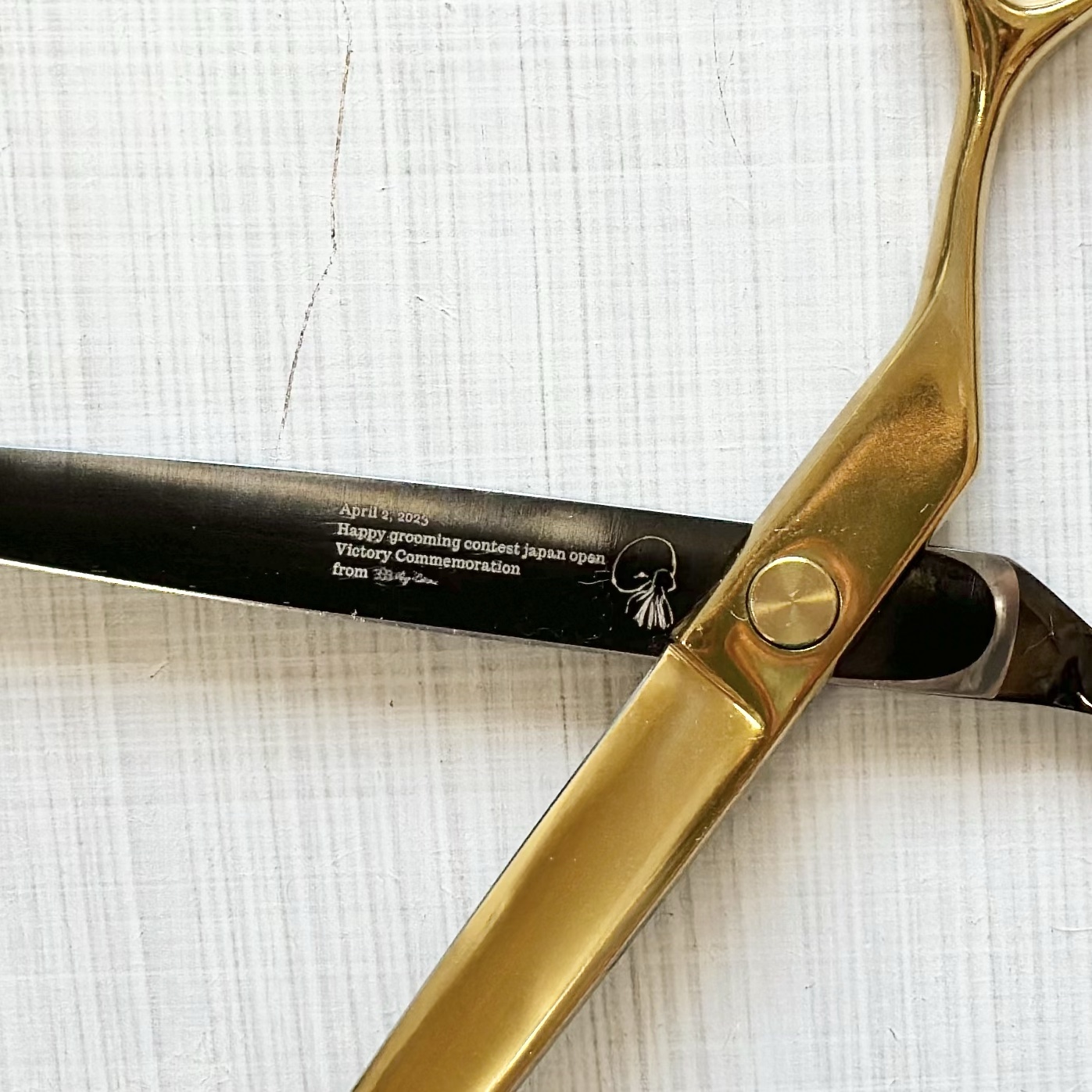 MEI ISEYAMA MODEL 】ギザ刃のストレートシザー 7.5インチ | 333 Dog