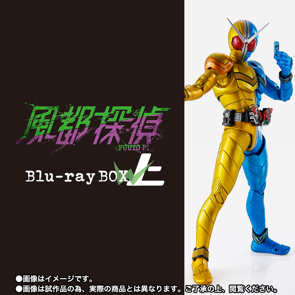 S.H.Figuarts（真骨彫製法） 「風都探偵」上巻 仮面ライダーW ルナ