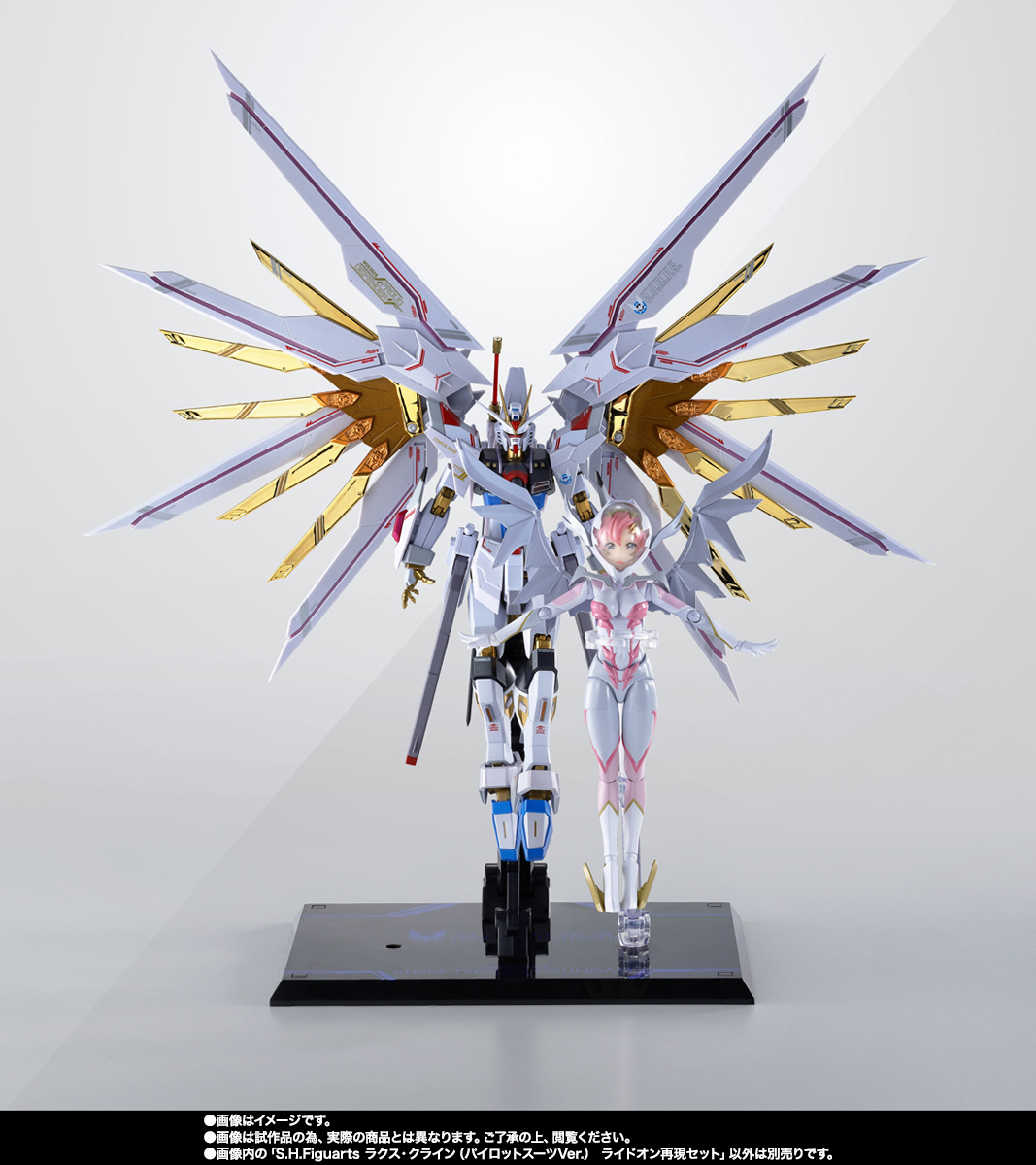 S.H.Figuarts ラクス・クライン（パイロットスーツVer.） ライドオン