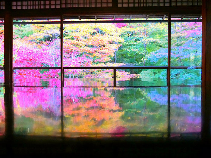 インスタ映え間違いなし☆ため息が出るほど美しい瑠璃光院の紅葉