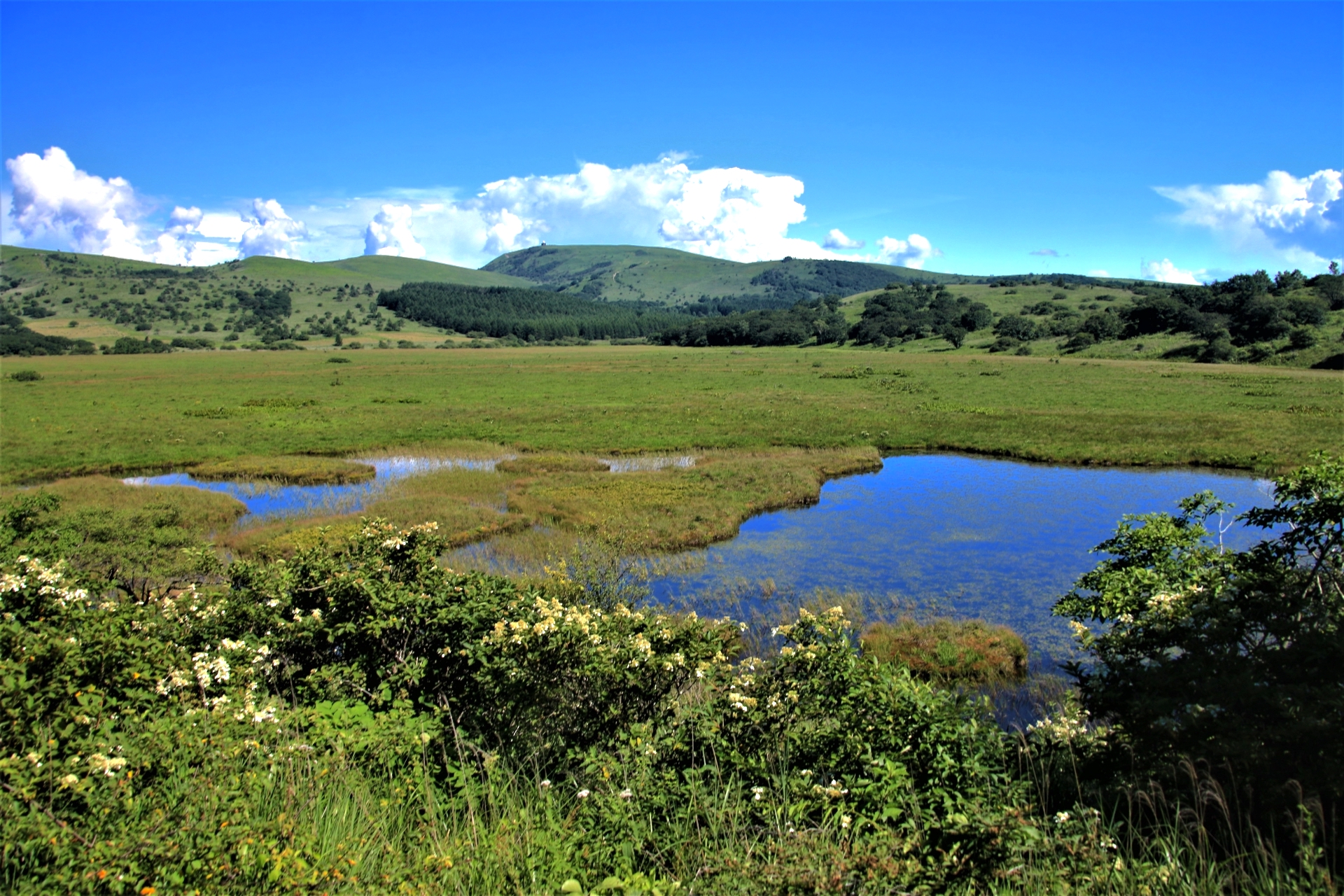 八島ヶ原湿原 | ニッポン旅マガジン