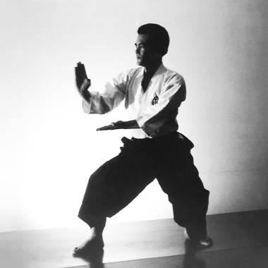 躰道の歴史と理念 - NPO法人 日本躰道協会