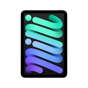 Apple iPad mini (A17 Pro) Wi-Fi 256GB (2024) - Space Gray : Target