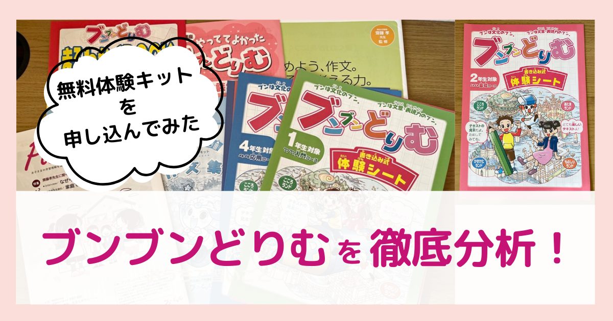 ブンブンどりむの口コミ！中学受験の記述対策に役立つか本音で解説