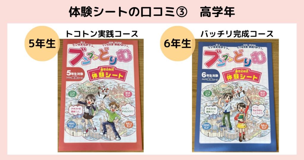 ブンブンどりむの口コミ！中学受験の記述対策に役立つか本音で解説