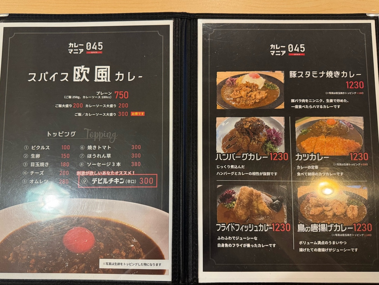 メニュー写真 : カレーマニア045-SPICE- 伊勢佐木町店 - 関内/カレー