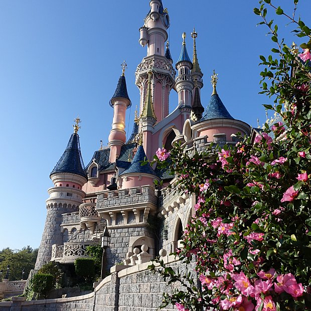 城の地下にいるマレフィセントのドラゴンはド迫力！ 眠れる森の美女の