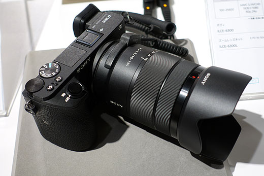 最初の一本はコレ！APS-Cサイズのミラーレス一眼