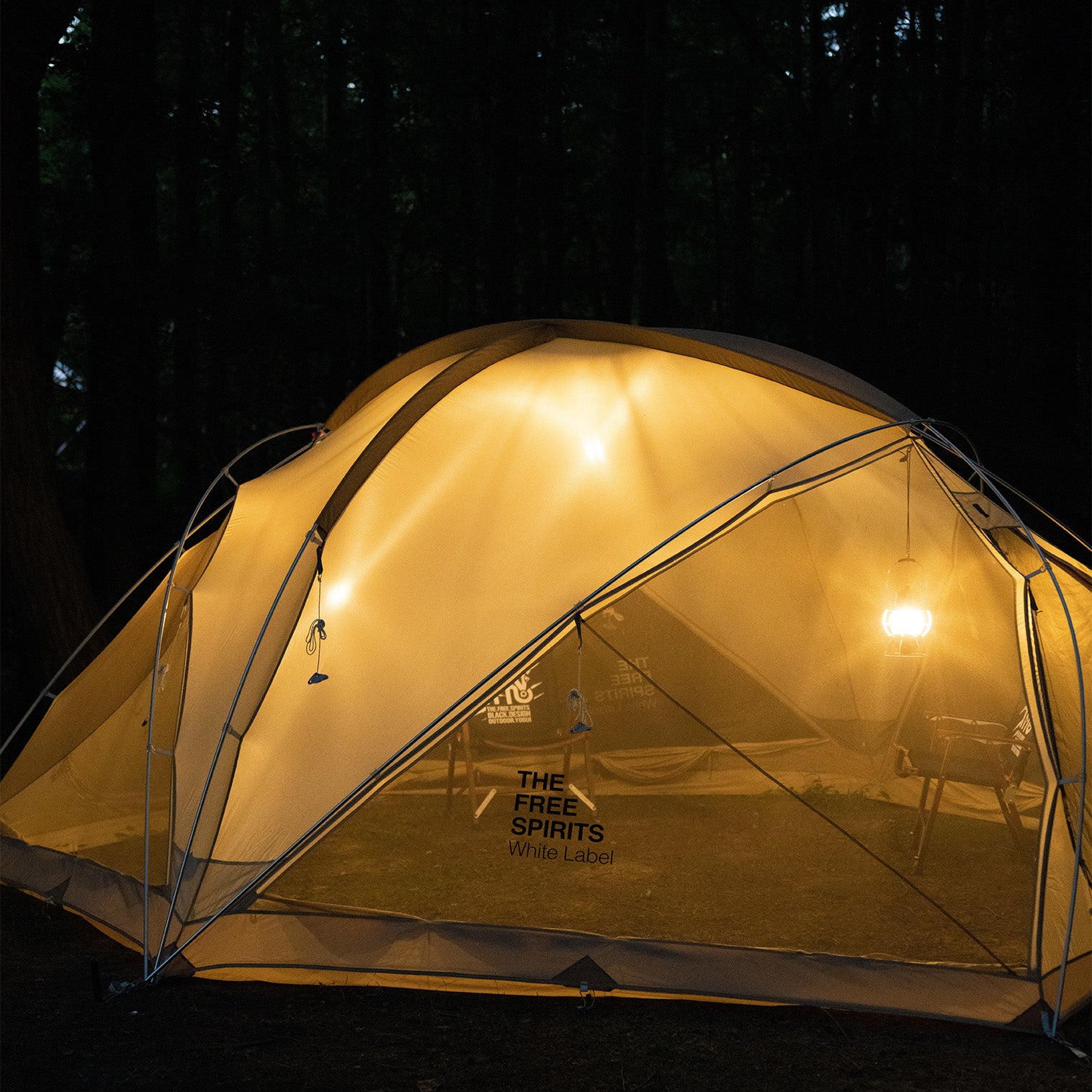 Sky Dome Pro – THE FREE SPIRITS