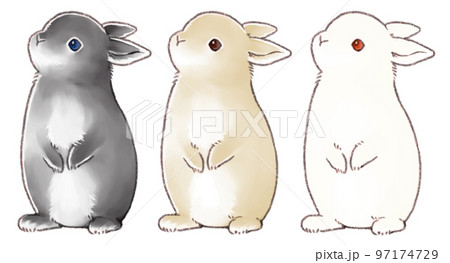 立ちウサギの写真素材 - PIXTA