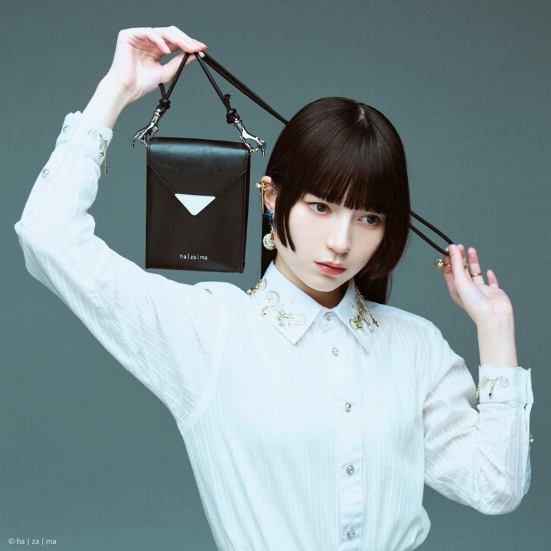 ha｜za｜ma 惹きずり込まれる運命のミニショルダーバッグBOOK│宝島社