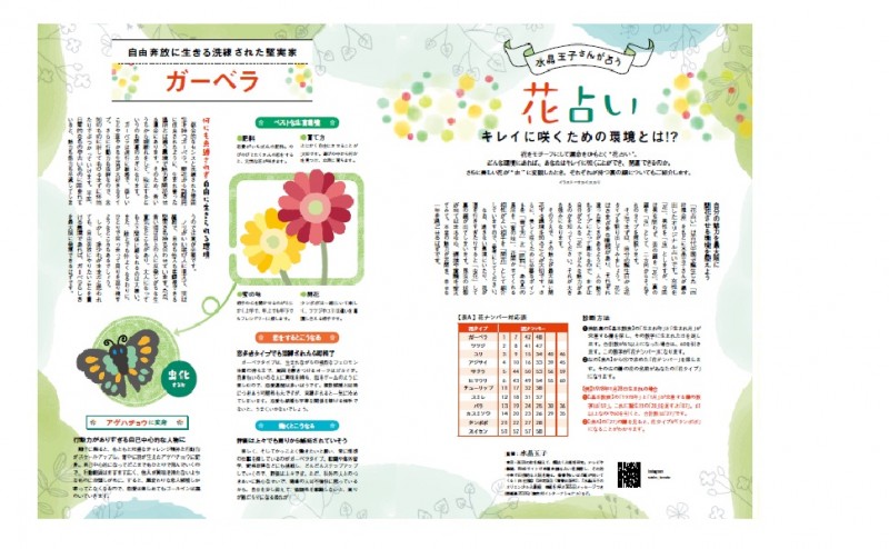 最強の運気をつかむ！ すごい開運法│宝島社の通販 宝島チャンネル