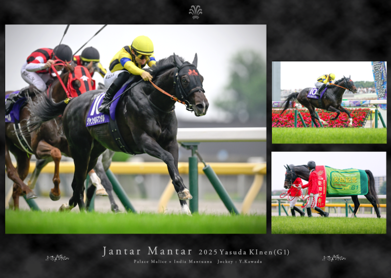 有馬記念・皐月賞優勝記念○スタイルパネル○ミュージアムマイル