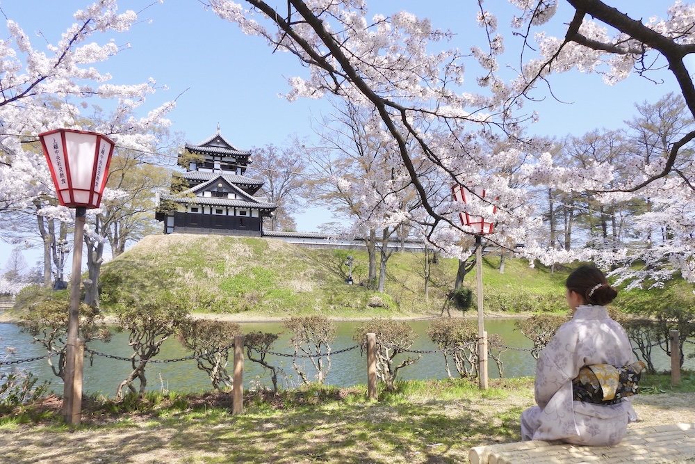 いよいよ桜の季節が到来！〈THE NIIGATA〉の「お花見グルメ」が見逃せ