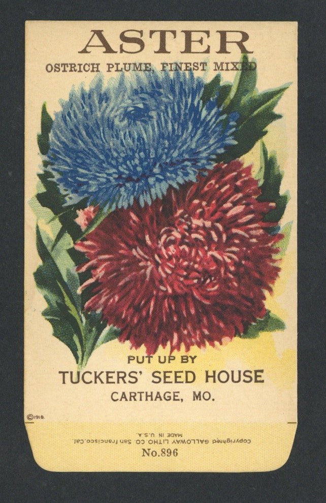 Vintage Seed Packets 1900-1940 – thelabelman