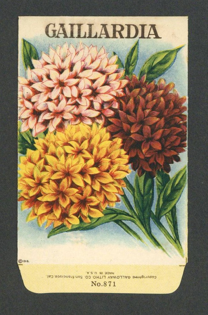 Vintage Seed Packets 1900-1940 – Page 4 – thelabelman