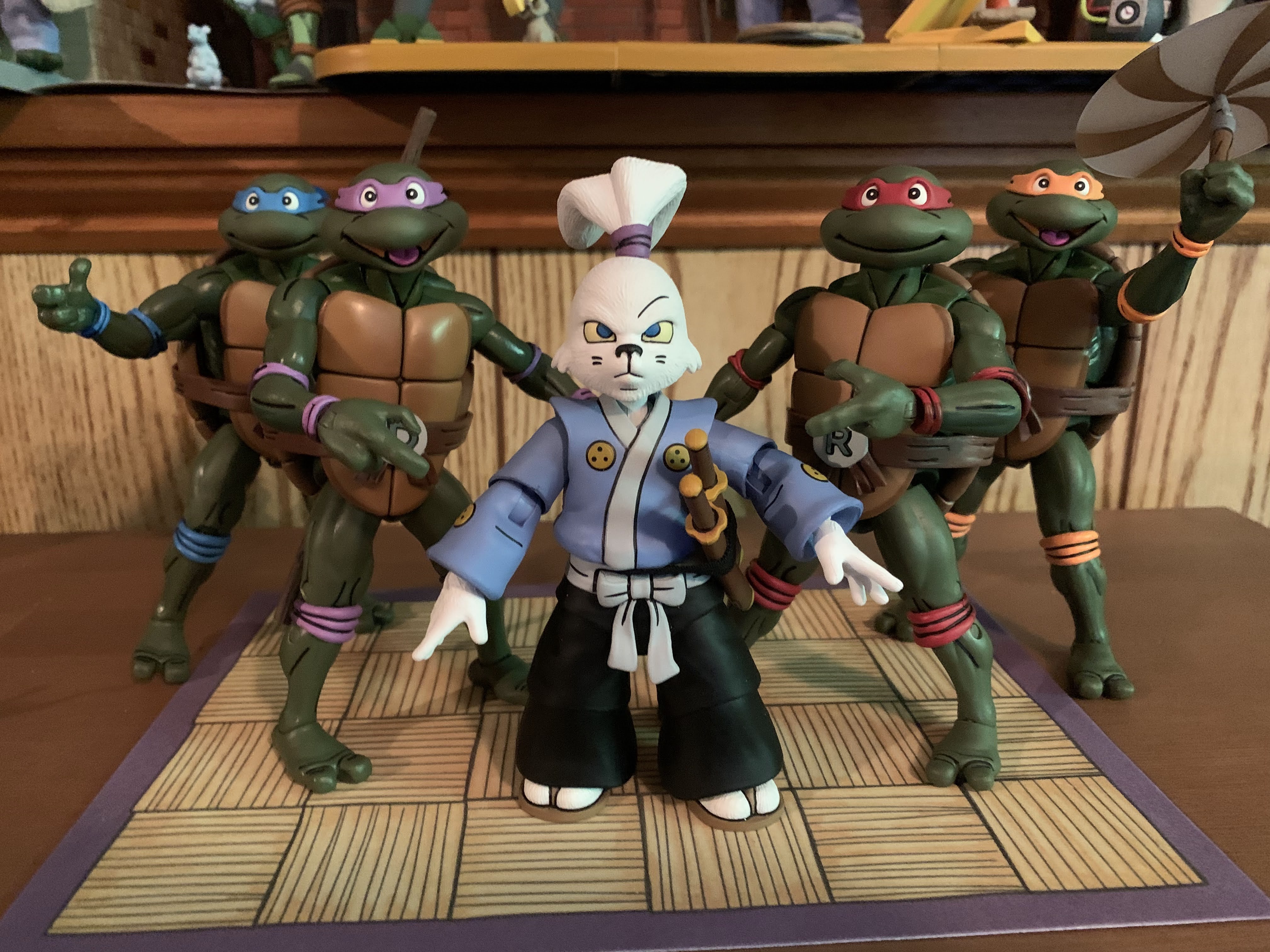 NECA Cartoon TMNT The Tale of Usagi Yojimbo | The Nostalgia Spot
