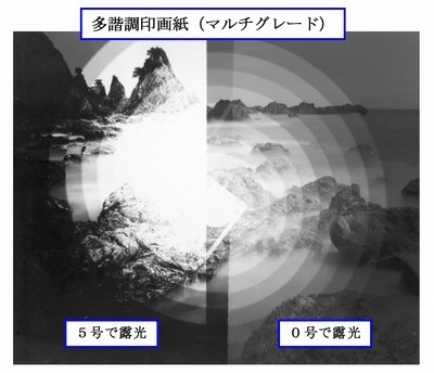 印画紙の種類について | フィルムカメラで撮って自家現像と自家