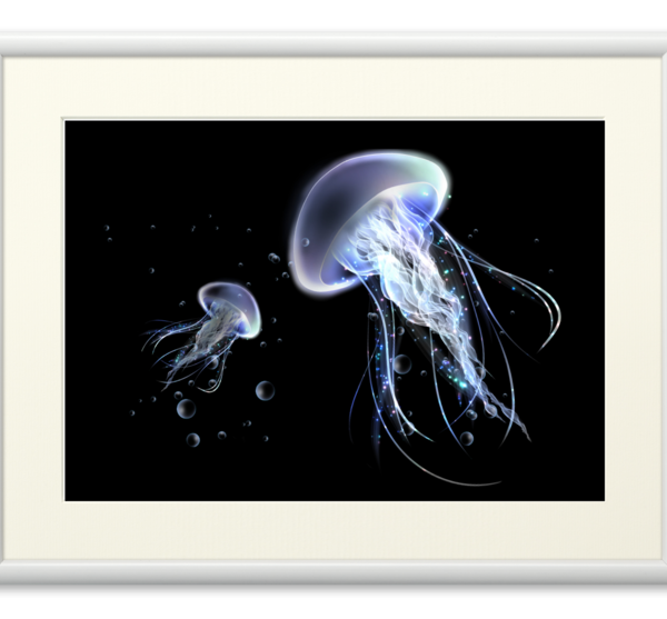 くらげ | クラゲチャン ｜インテリア絵画 アートの専門通販