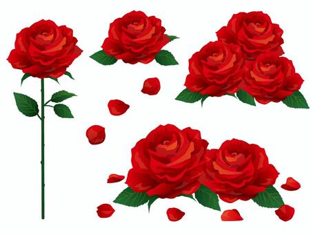 バラのトゲイラスト｜無料イラスト・フリー素材なら「イラストAC」